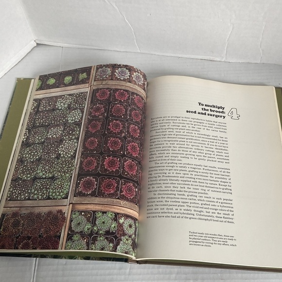 The Time Life Encyclopedia of Gardening Cacti Succulents Temp & Characteristics - Picture 6 of 15